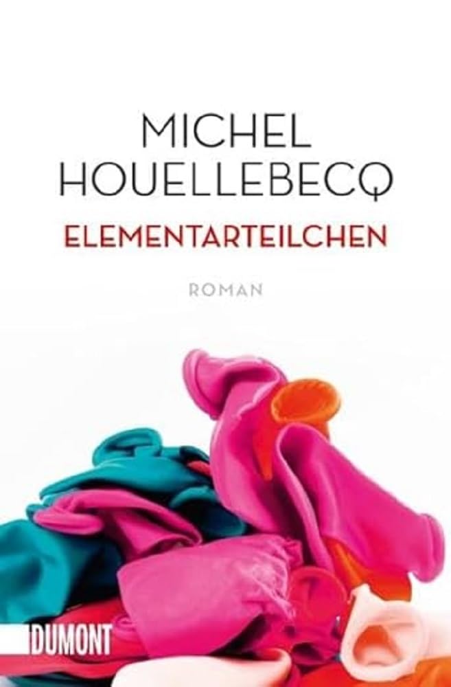 Elementarteilchen Contemporary literature Books
