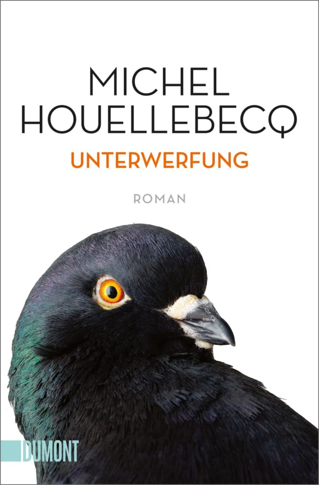 Product Image: Unterwerfung