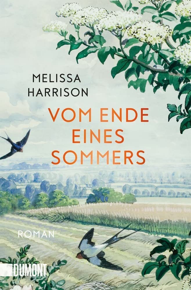 Vom Ende eines Sommers: Roman Social Sciences