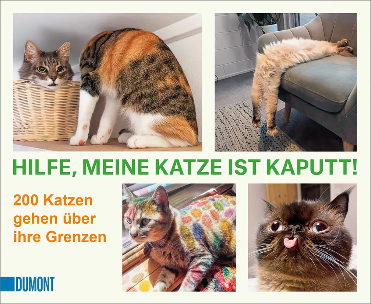 Product Image: Hilfe, meine Katze ist kaputt