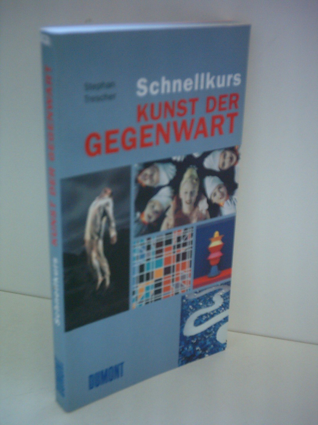 DuMont Schnellkurs Kunst der Gegenwart Natural Sciences