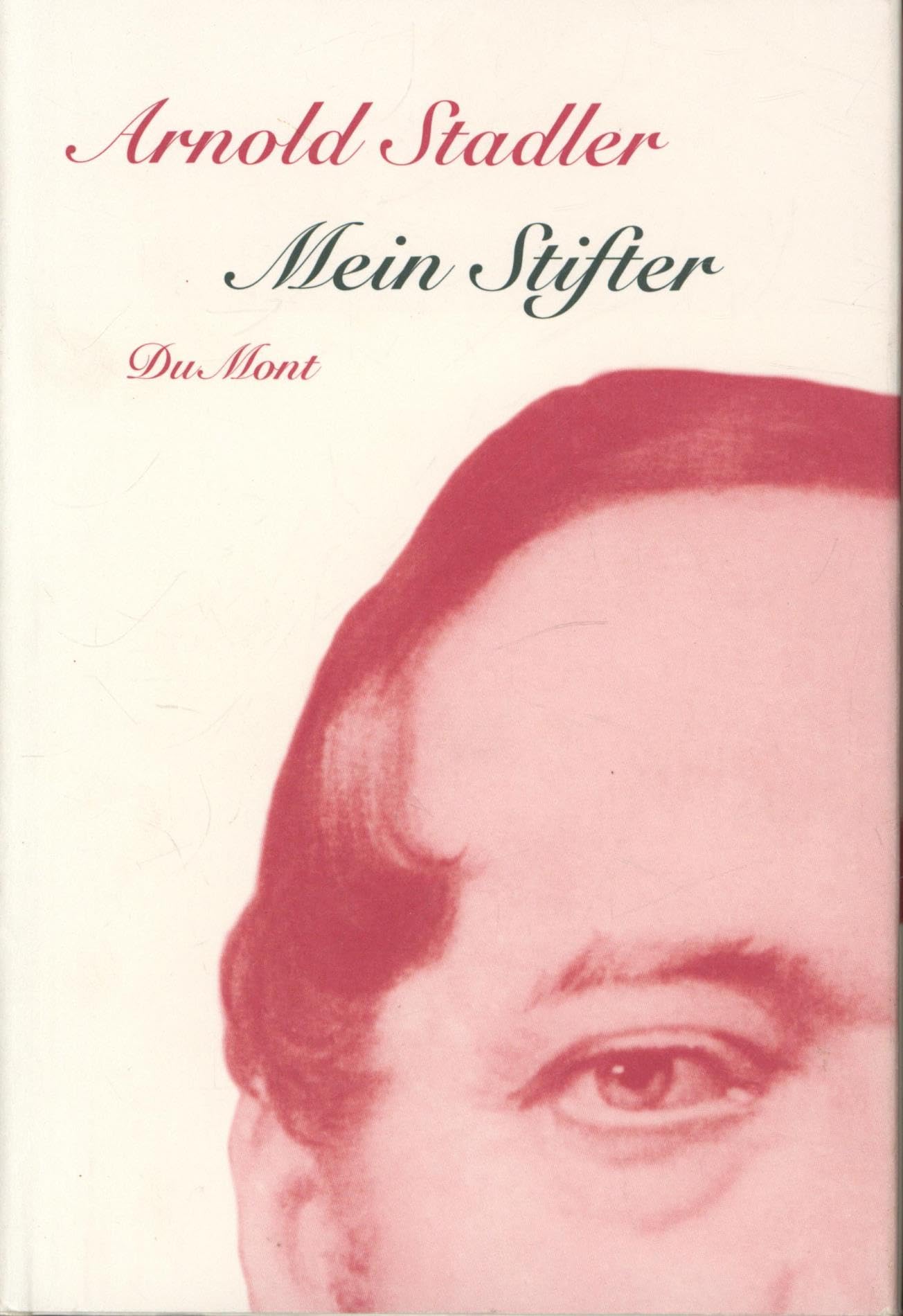Mein Stifter: Porträt eines Selbstmörders in spe und fünf Photographien. Von der Darmstädter Jury als Buch des Monats April 2005 ausgezeichnet Contemporary literature Books