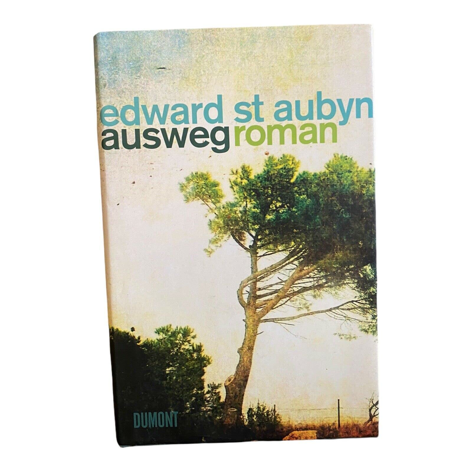 Ausweg: Roman Contemporary literature Books