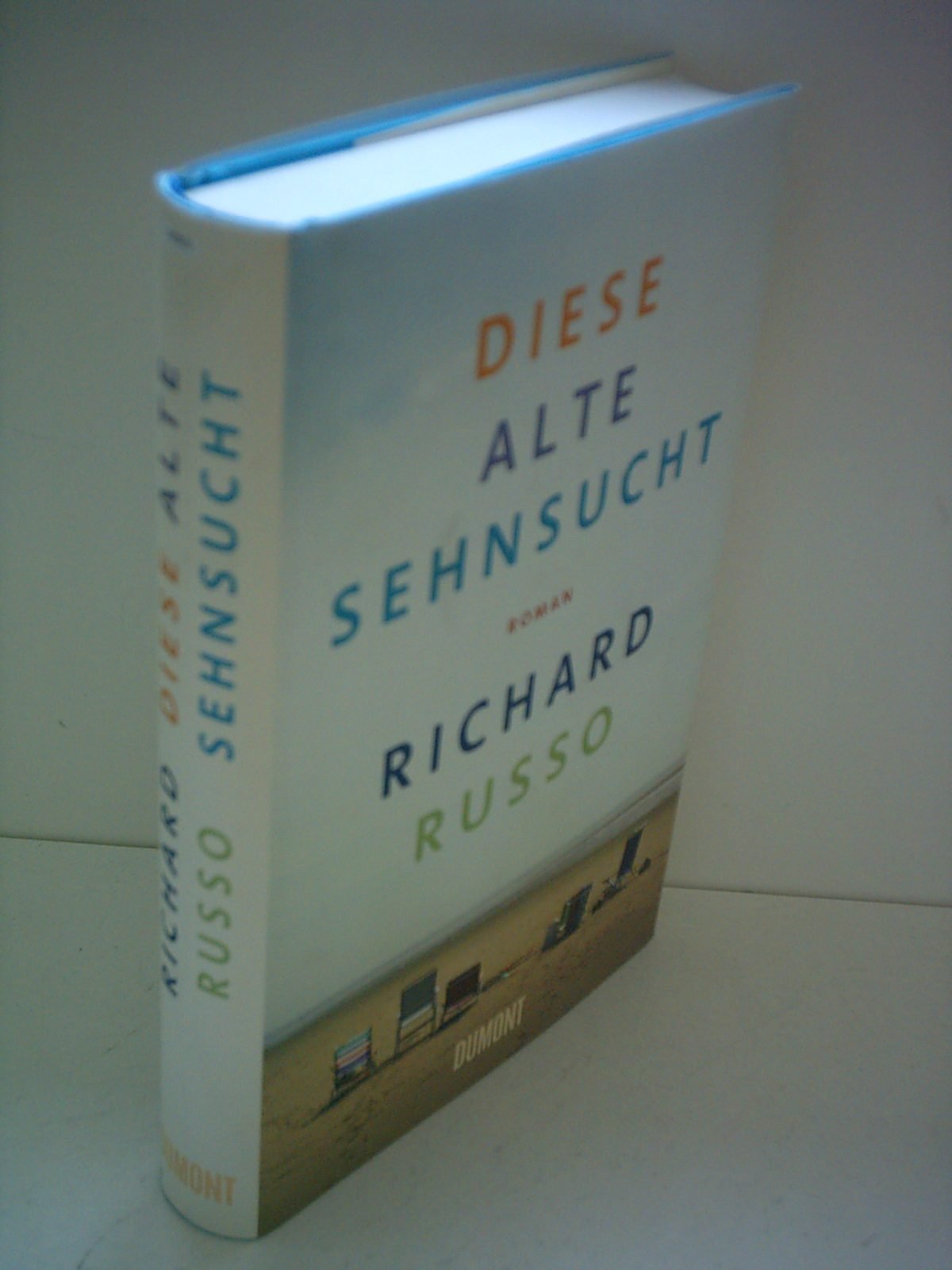 Diese alte Sehnsucht Contemporary literature Books