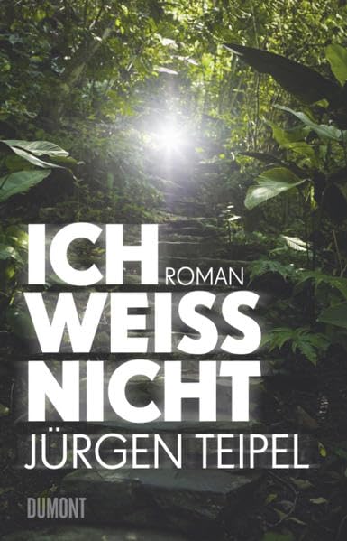 Ich weiß nicht: Roman Contemporary literature