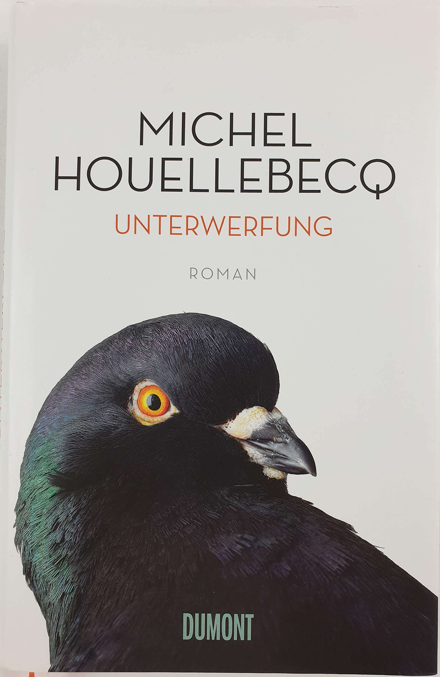 Unterwerfung Contemporary literature Books