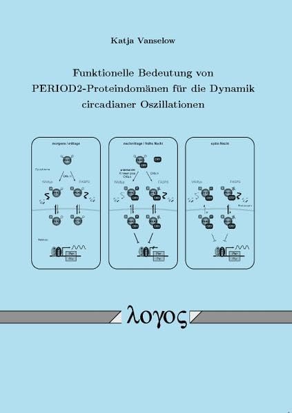 Funktionelle Bedeutung von PERIOD2-Proteindomänen für die Dynamik circadianer Oszillationen Business & Technology