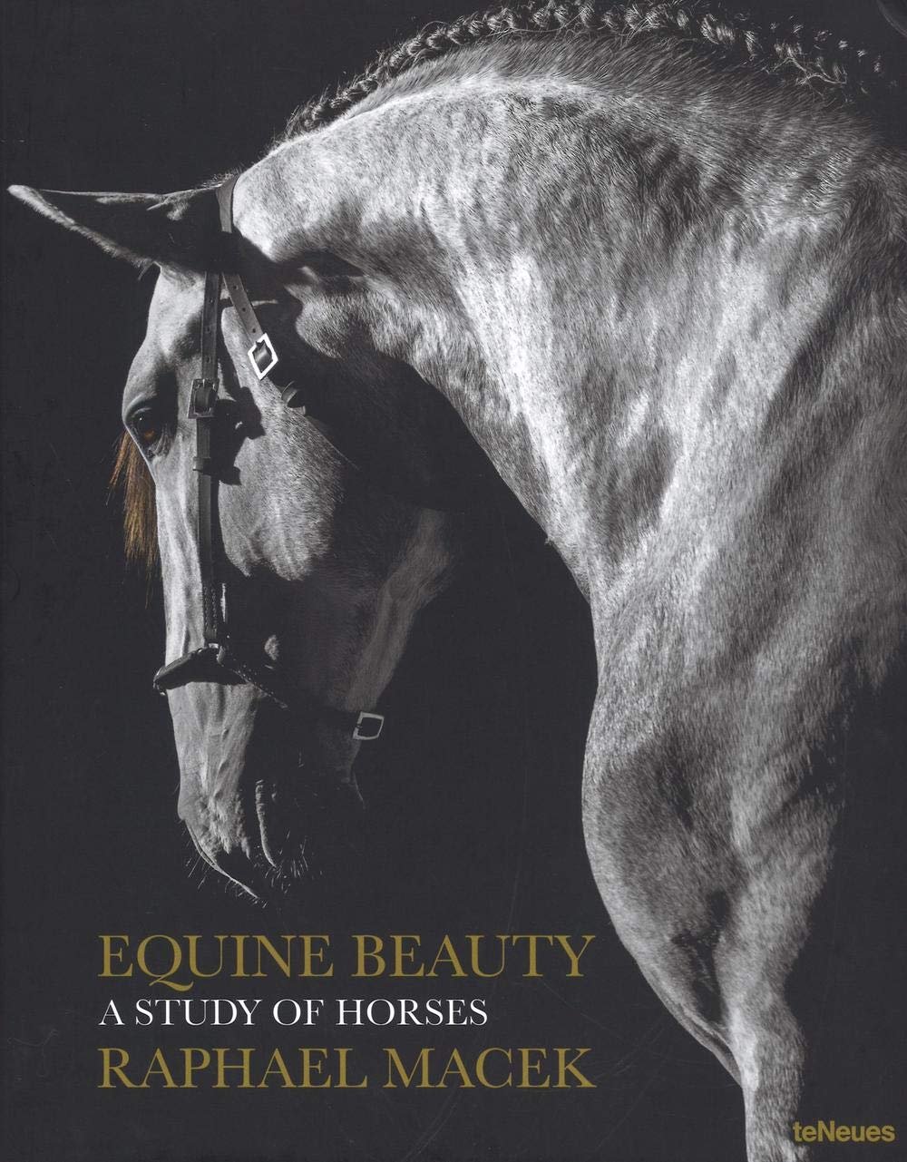 Equine Beauty, Small Format Edition: A Study of Horses - Small Edition (Photographer) Mathematics