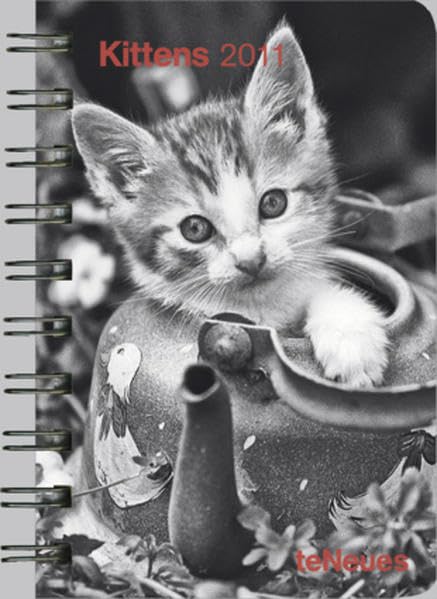 Kittens 2011 Calendars