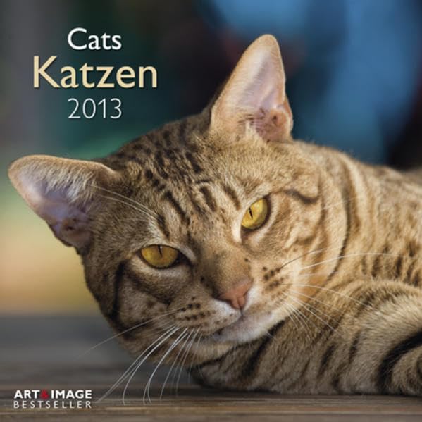 Katzen A&I 2013 Photography Books