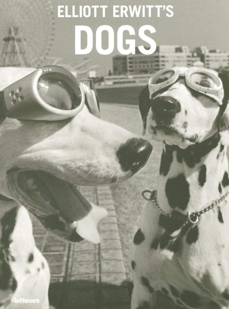 Elliott Erwitt's Dogs: Foreword by Peter Mayle. Engl.-Dtsch.-Italien.-Französ.-Span. (The Elliott Erwitt Series) Travel Books