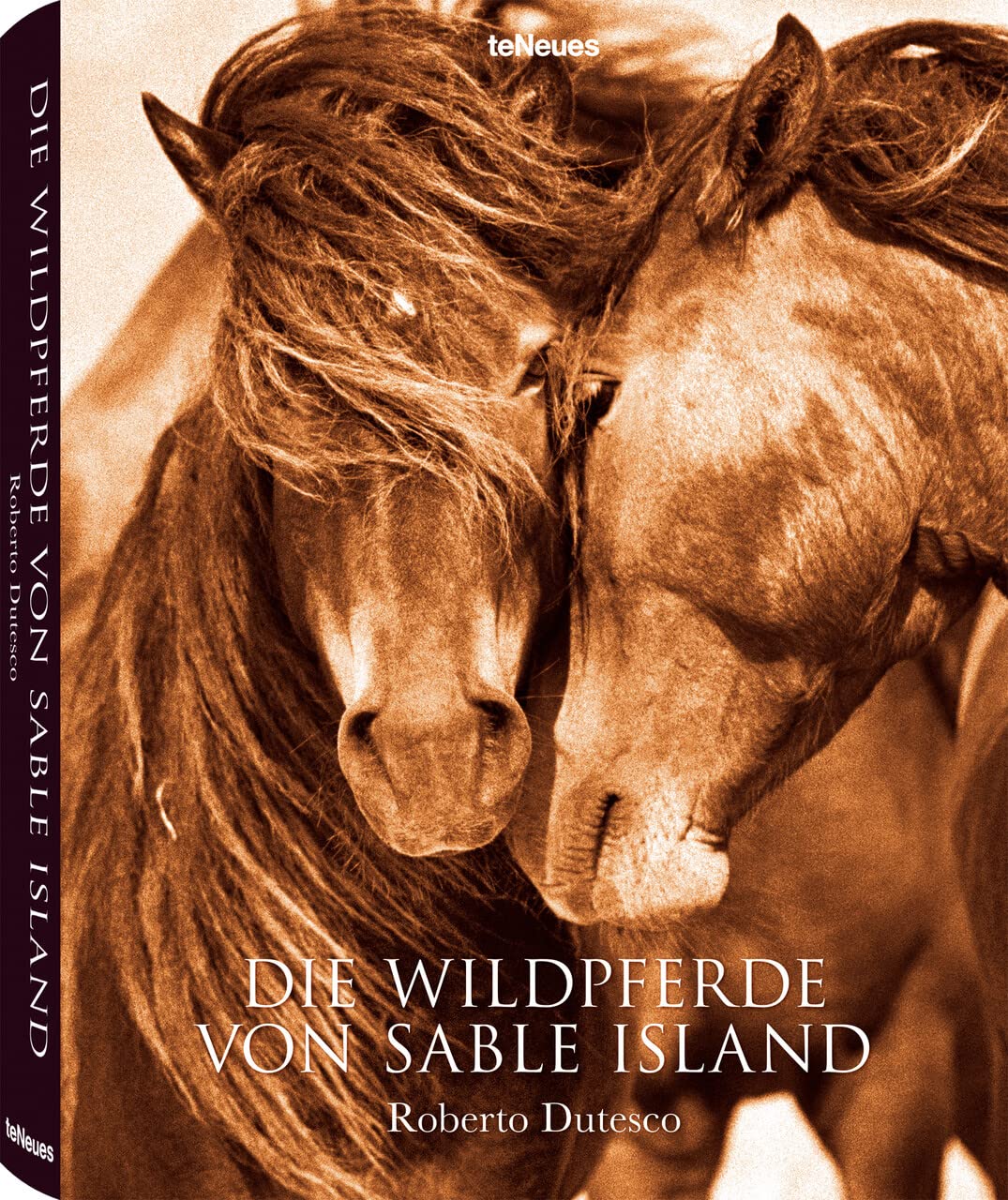 Die Wildpferde von Sable Island: Chines.-Dtsch.-Span.-Engl.-Französ. Travel