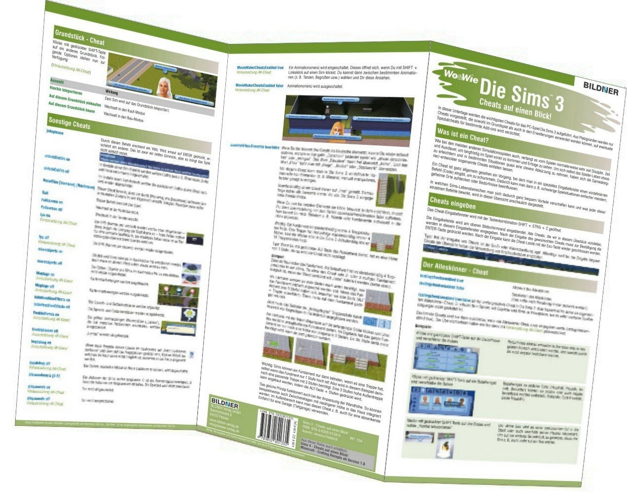Die Sims 3 - Die wichtigsten Cheats auf einen Blick! (Wo&Wie: Die schnelle Hilfe) Computer Science