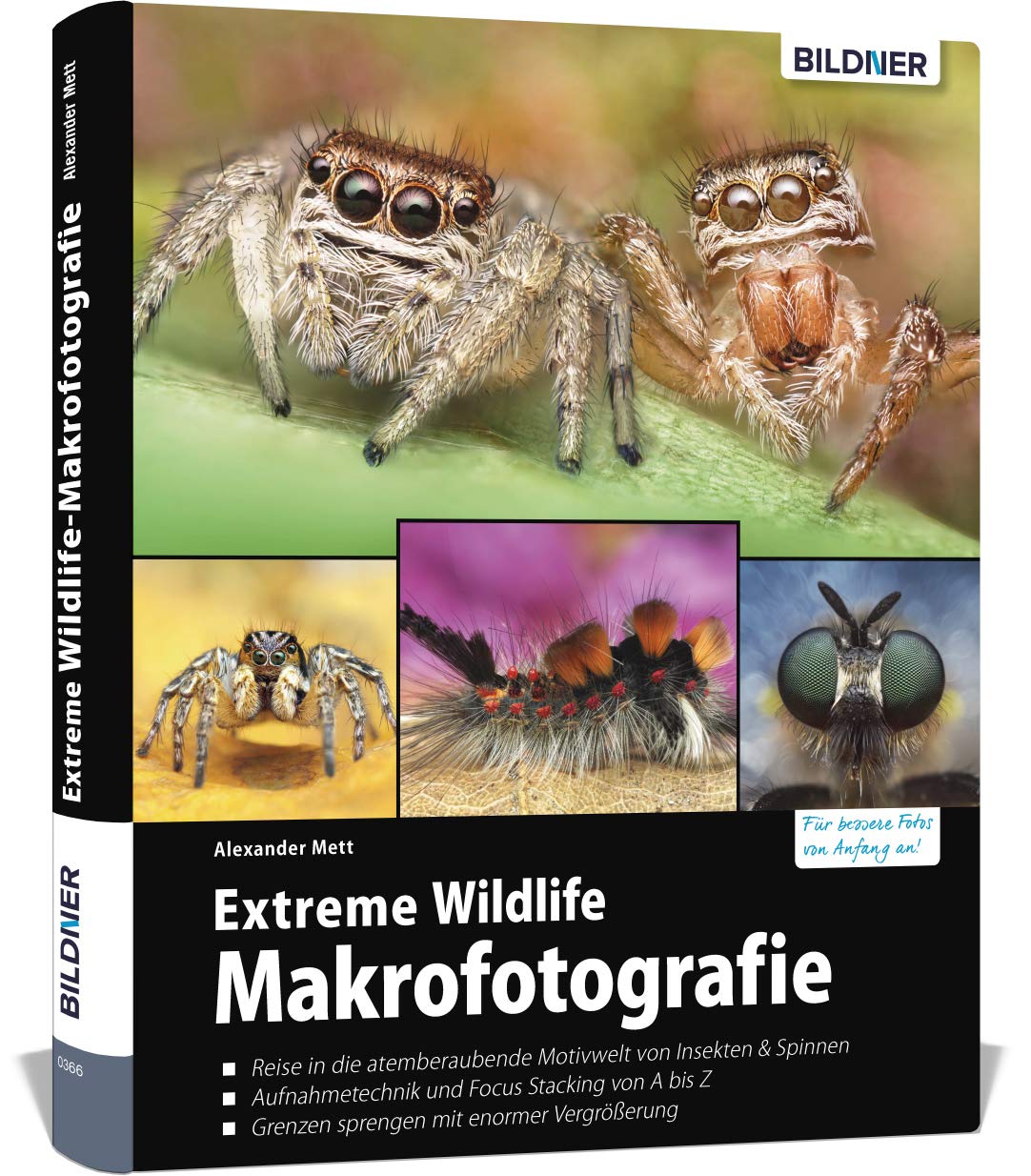 Extreme Wildlife-Makrofotografie Photography