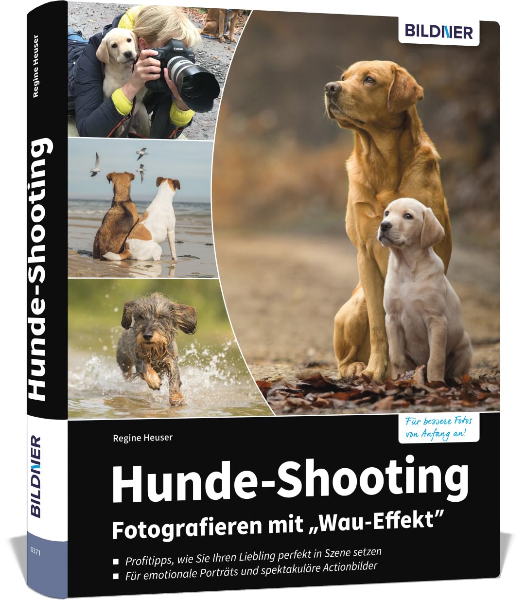 Hunde-Shooting - Fotografieren mit "Wau-Effekt" Photography