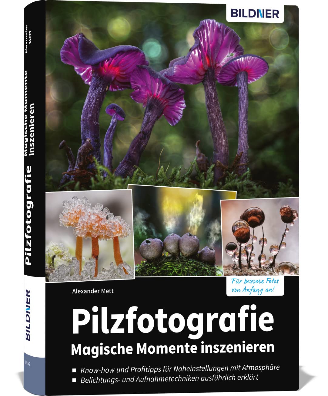 Pilzfotografie - Magische Momente inszenieren Computer Science