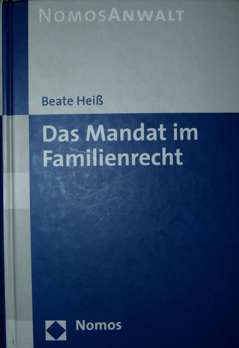 Das Mandat im Familienrecht: Handbuch Law
