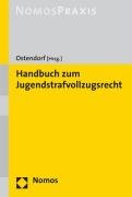 Jugendstrafvollzugsrecht: Eine kommentierende Darstellung der einzelnen Jugendstrafvollzugsgesetze Law