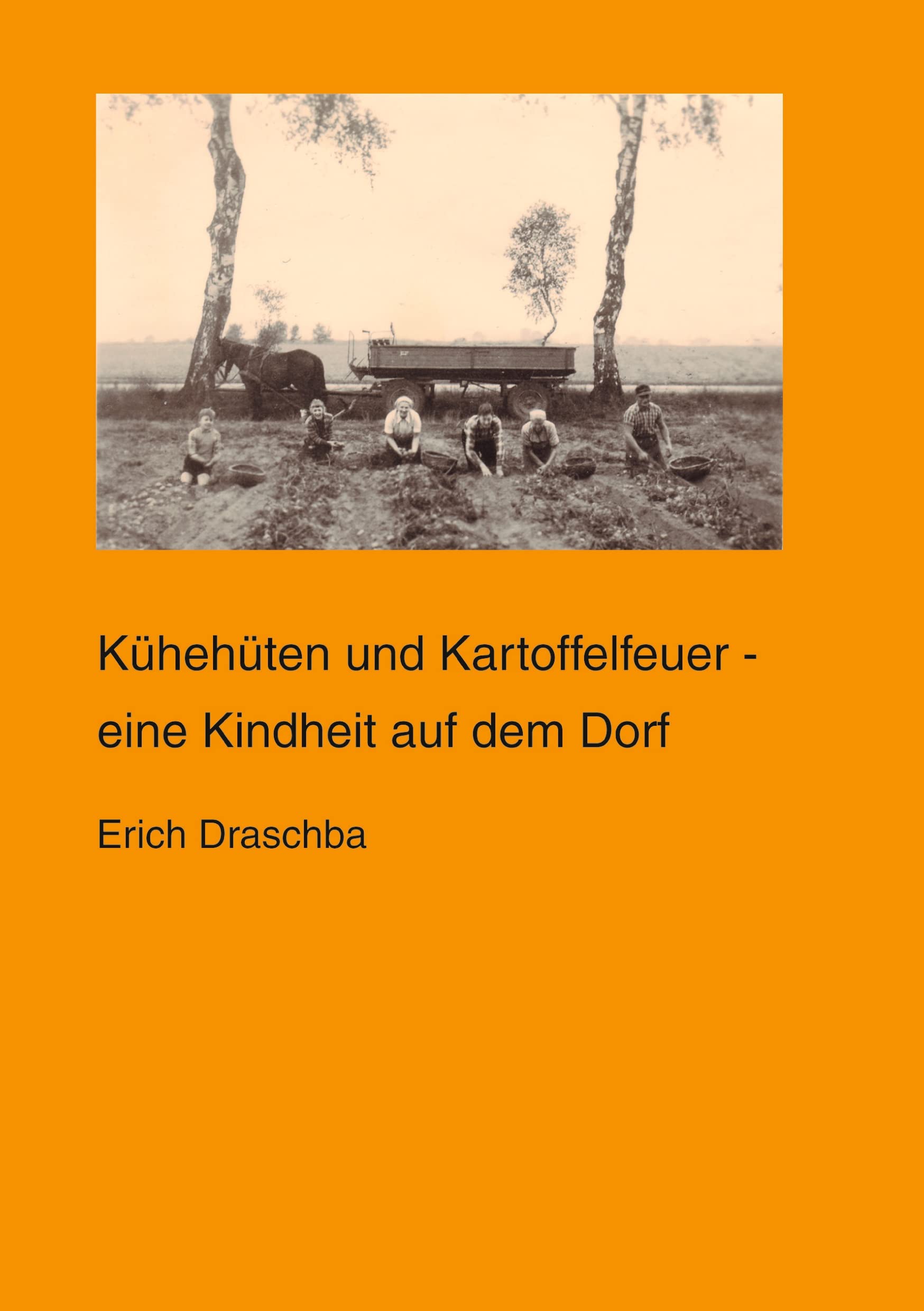 Kühehüten und Kartoffelfeuer Contemporary literature