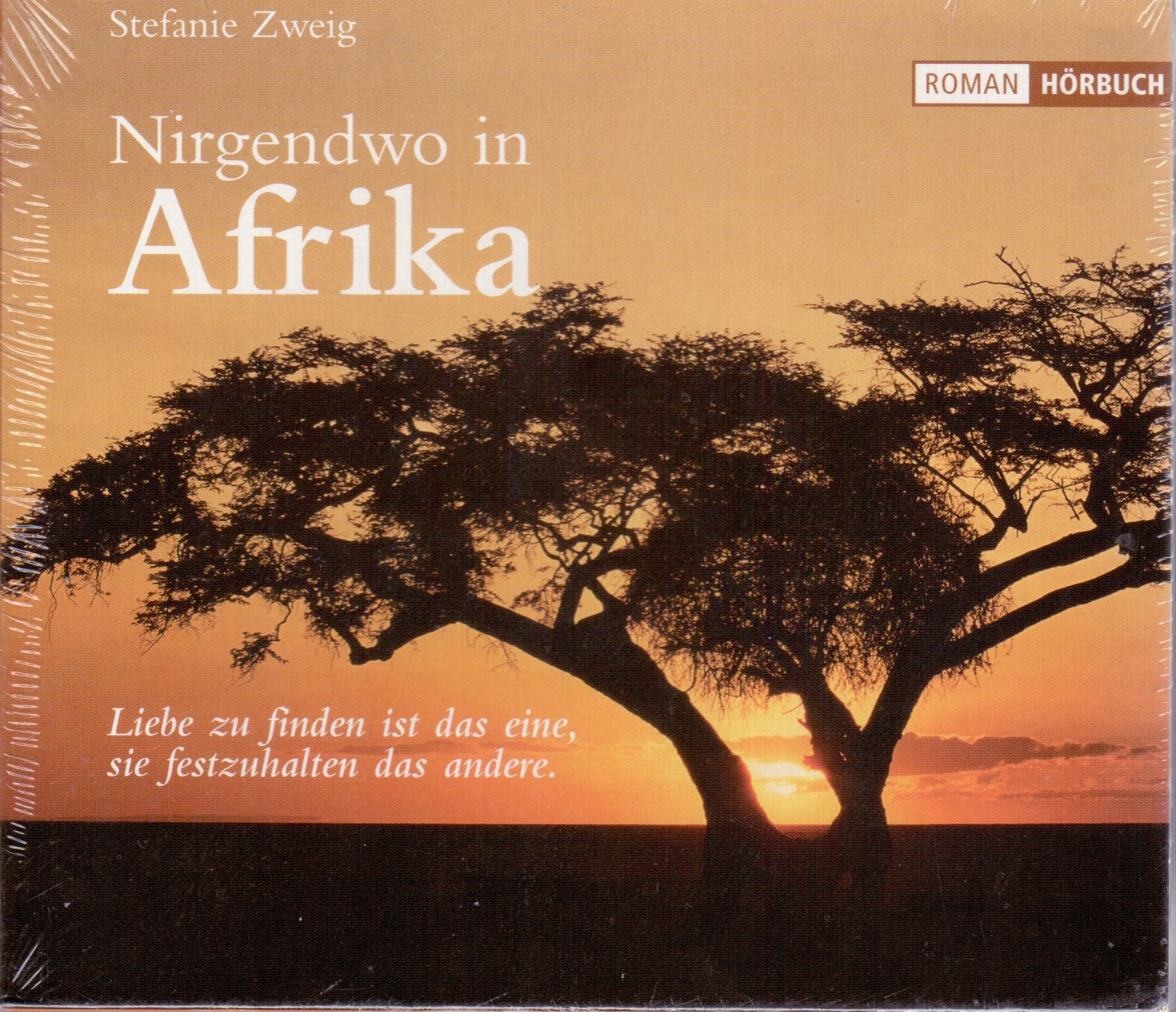 Nirgendwo in Afrika Contemporary literature Books