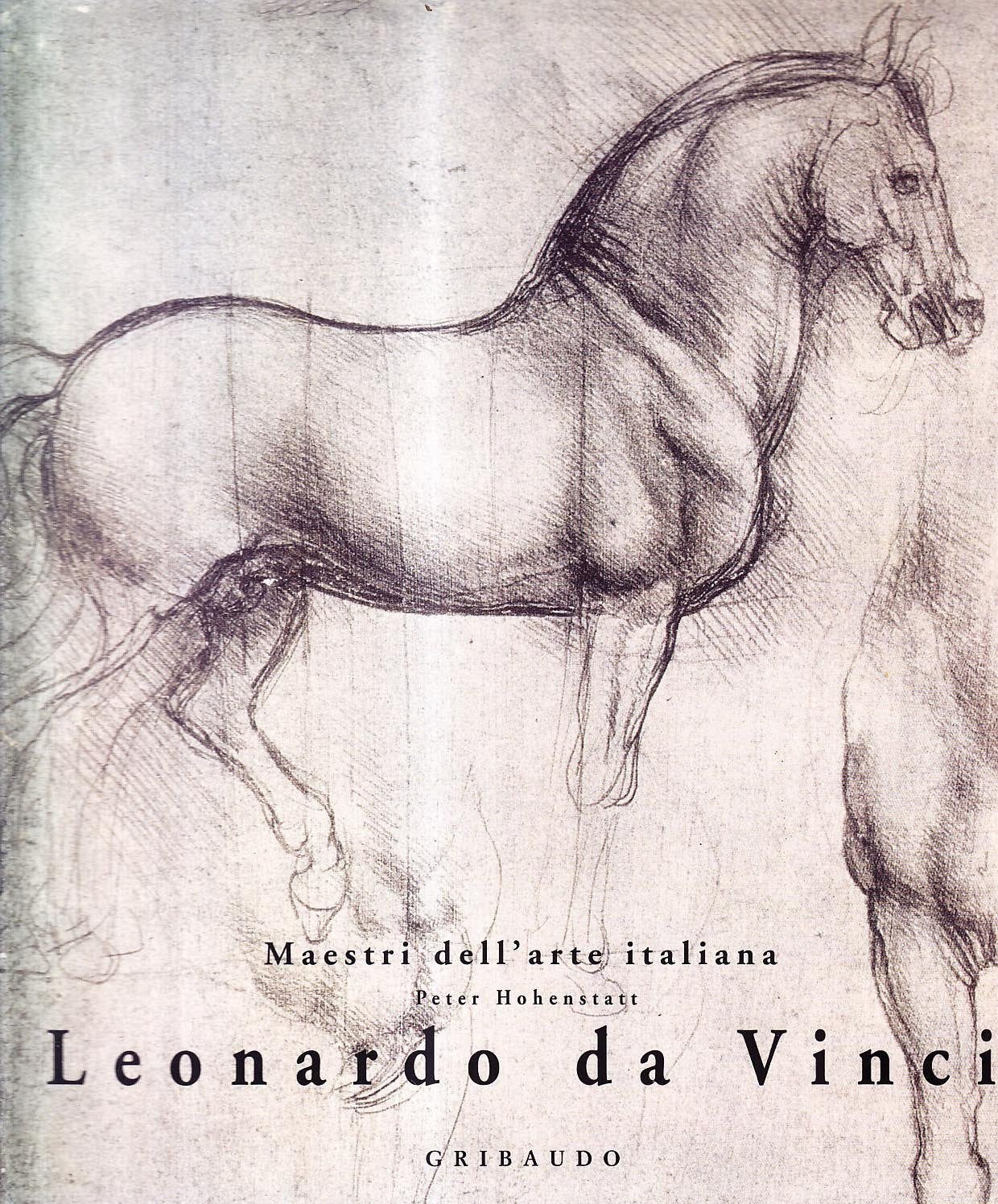 Leonardo da Vinci. Maestri dell'arte italiana. Ediz. illustrata book