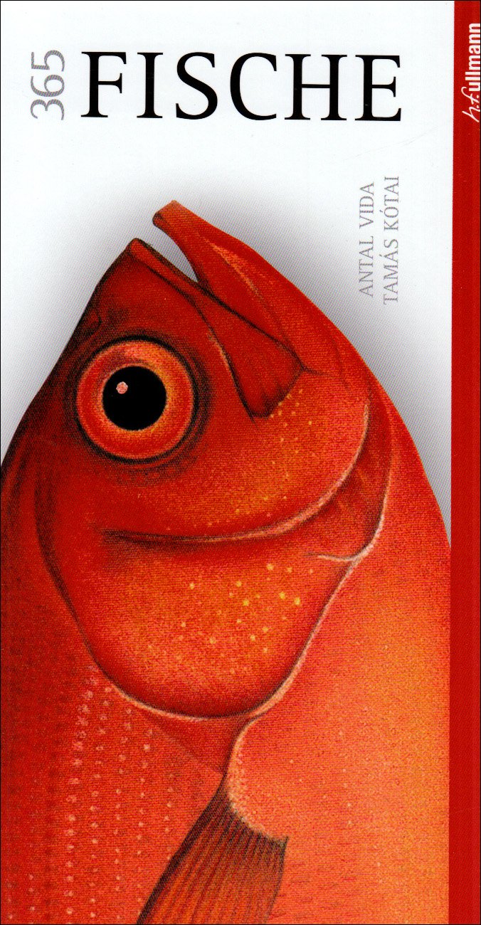Product Image: 365 Fische