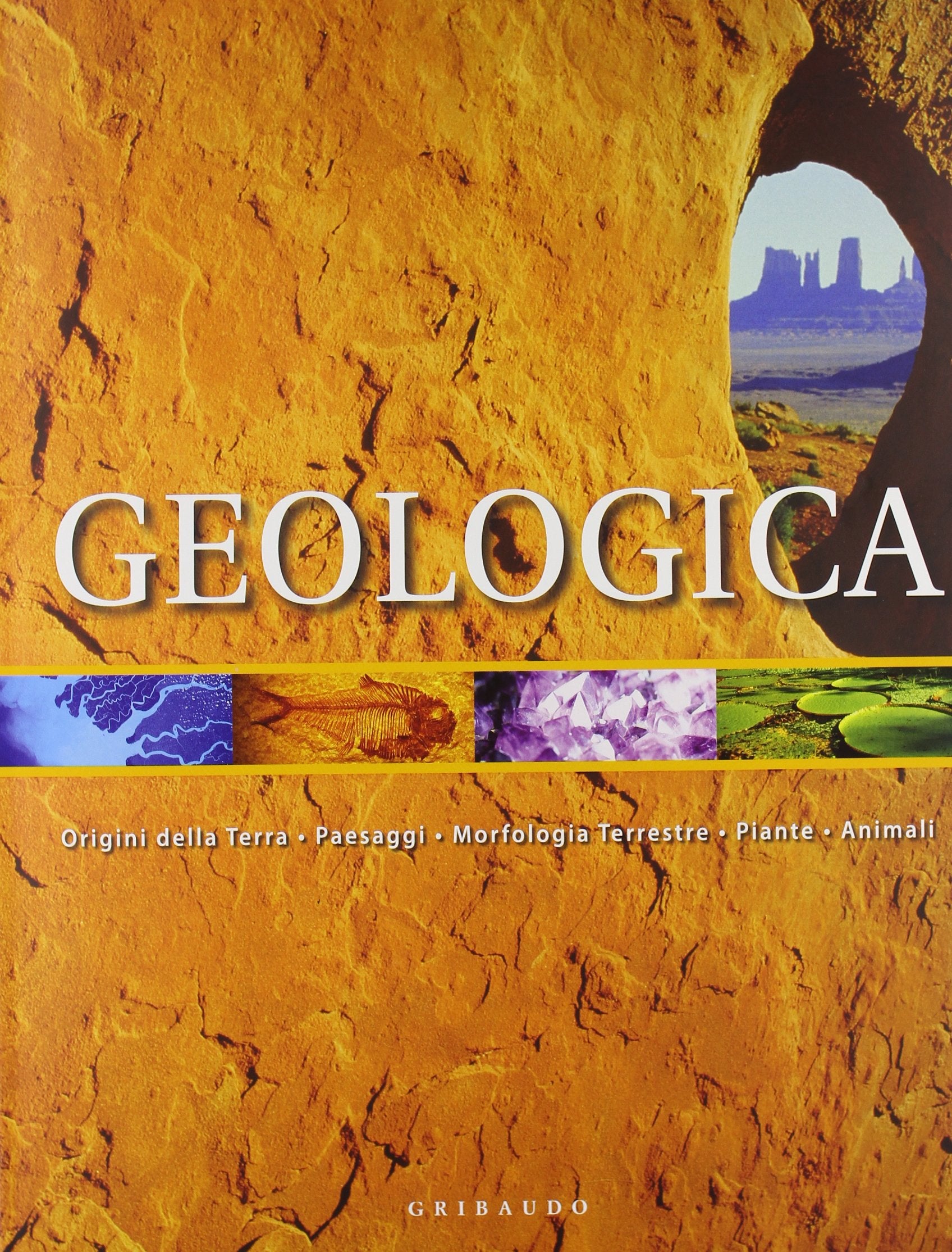 Geologica. Origine della terra, paesaggi, morfologia terrestre, piante, animali book