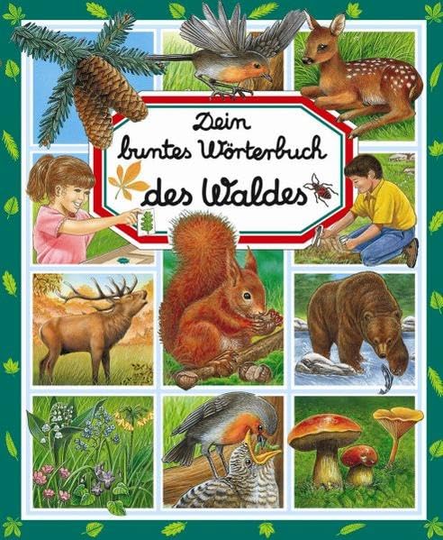 Dein buntes Wörterbuch des Waldes Non-fiction