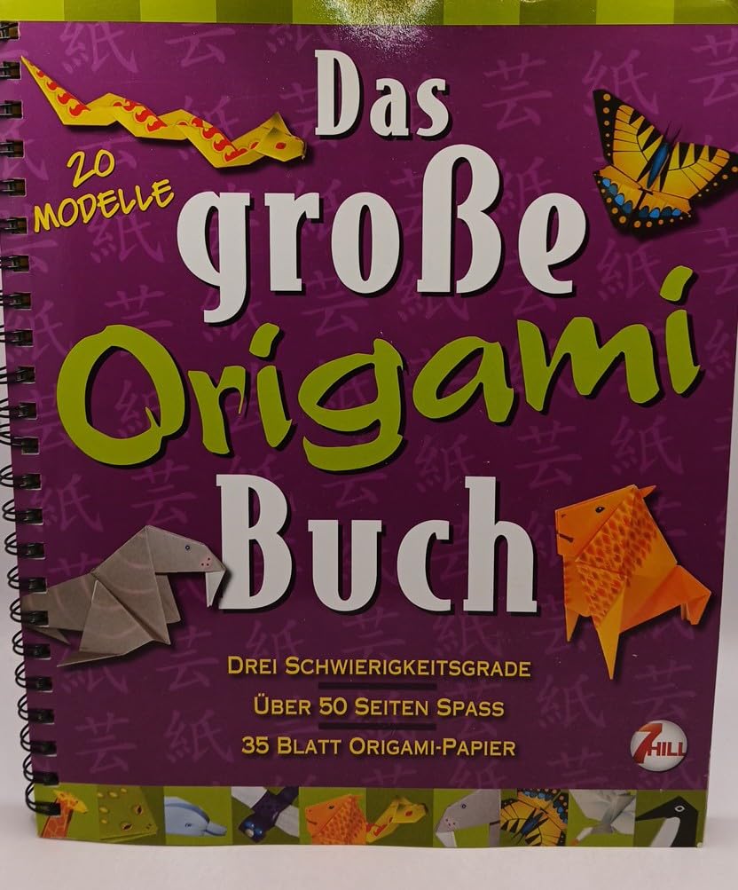 Das große Origami-Buch (Bastelspaß mit Papier) Hobbies & Crafts Books