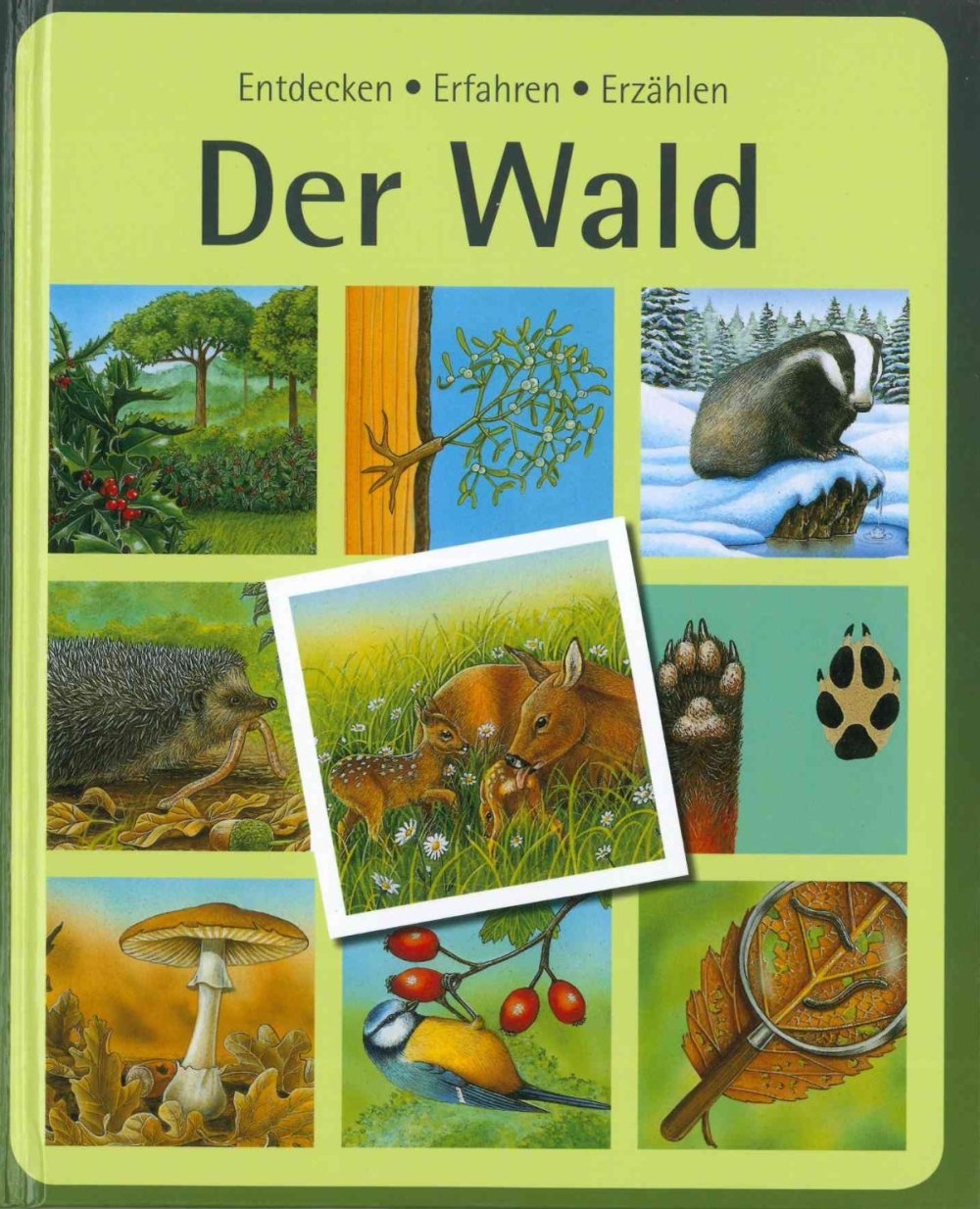 3243680 bh Books