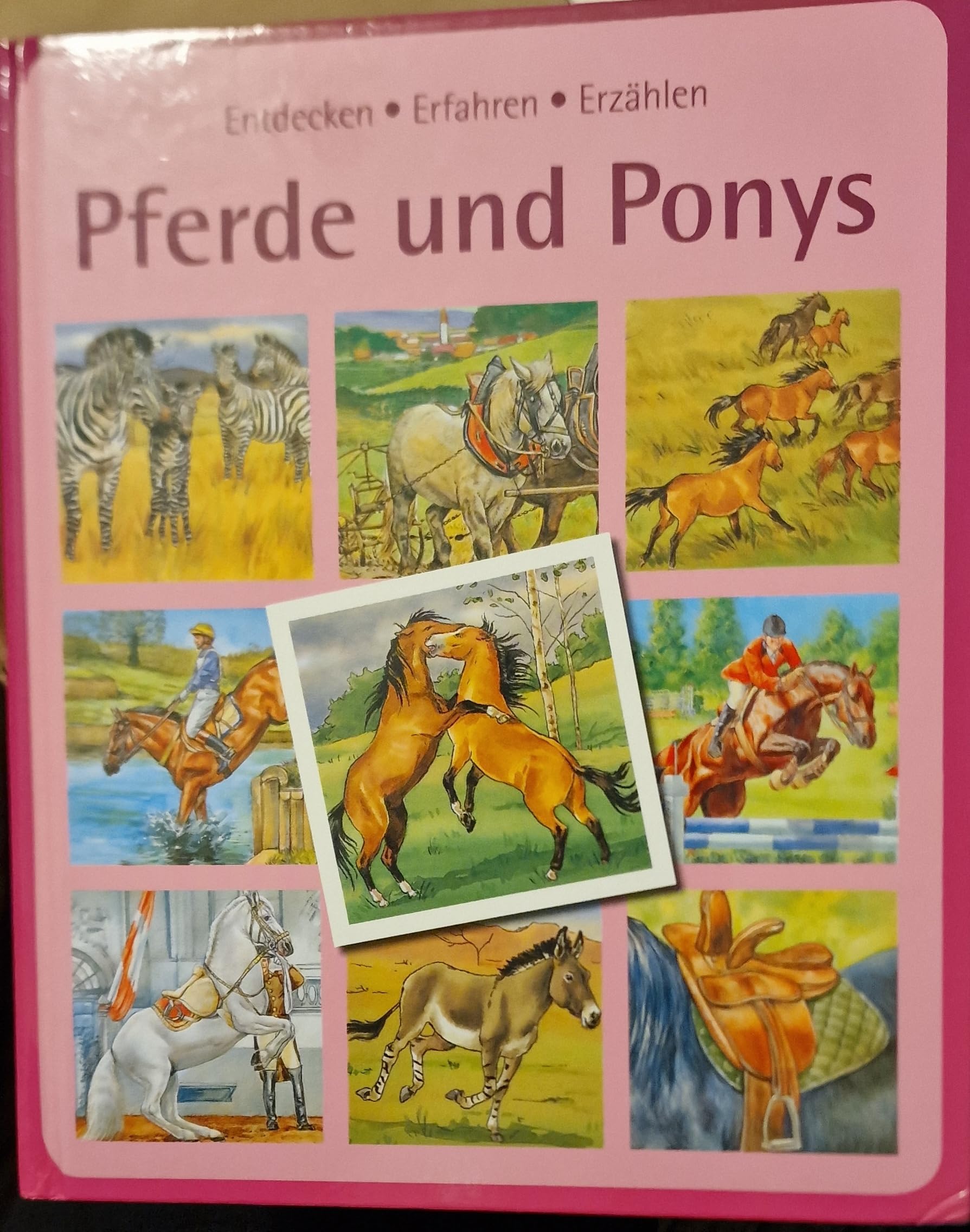 Entdecken-Erfahren-Erzählen PFERDE UND PONYS Books