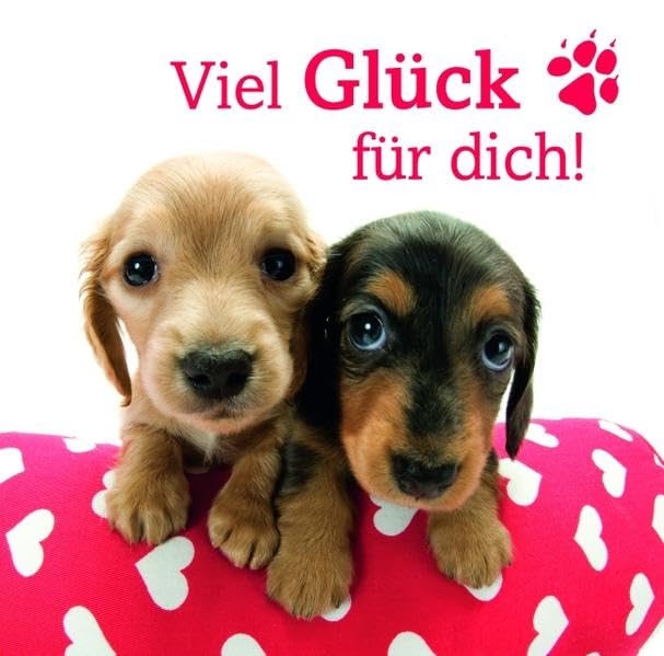 Hanadeka Geschenkbuch 01. Viel Glück für dch book