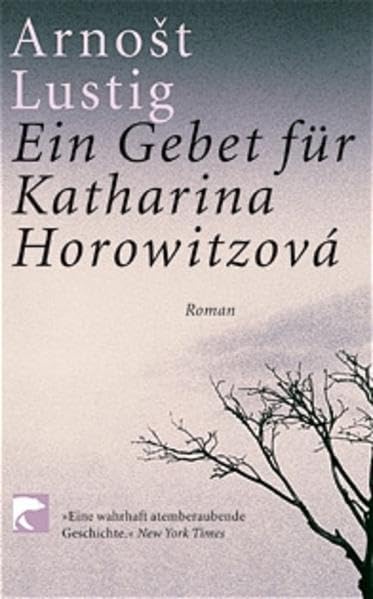 Ein Gebet für Katharina Horowizová: Roman Contemporary literature