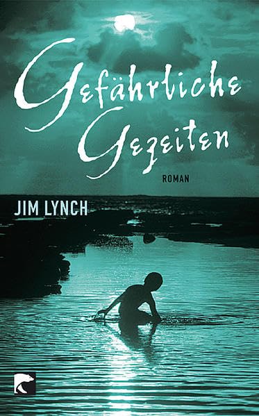 Gefährliche Gezeiten: Roman Contemporary literature