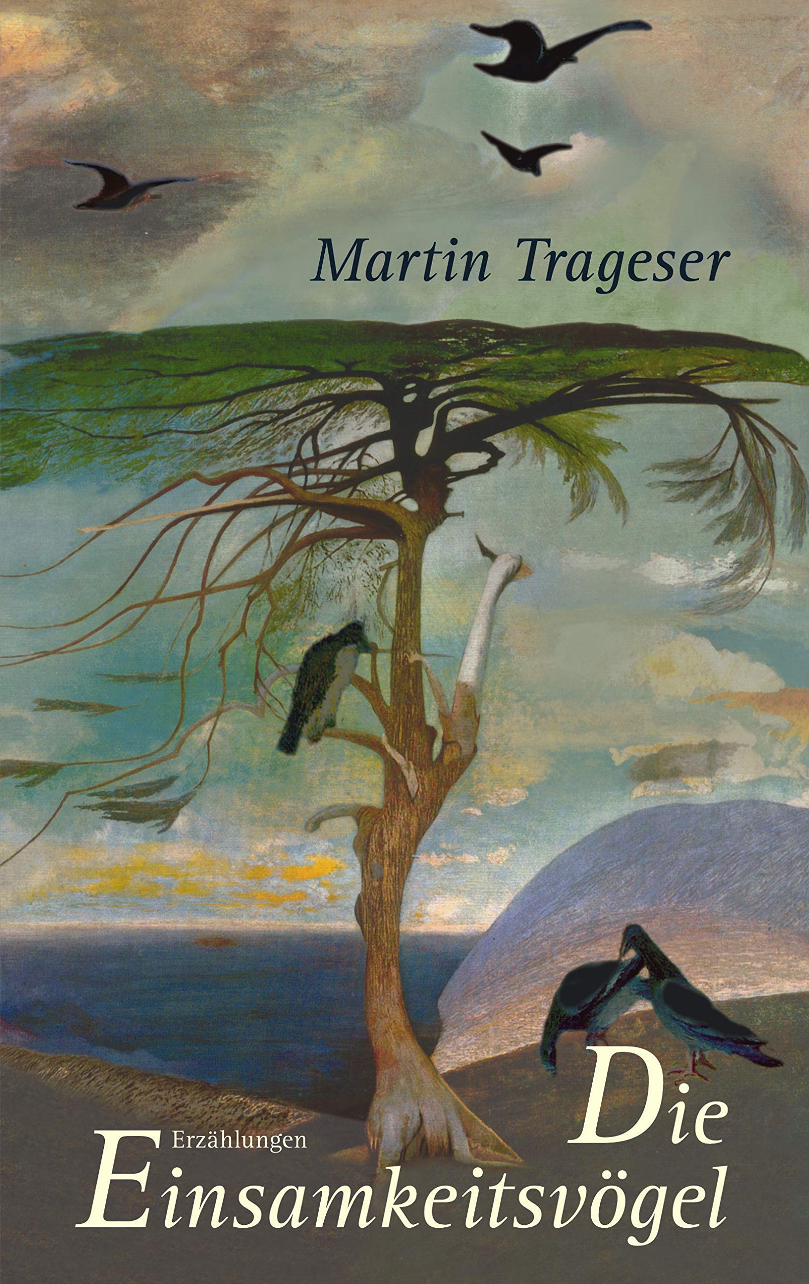 Die Einsamkeitsvögel: Erzählungen Contemporary literature