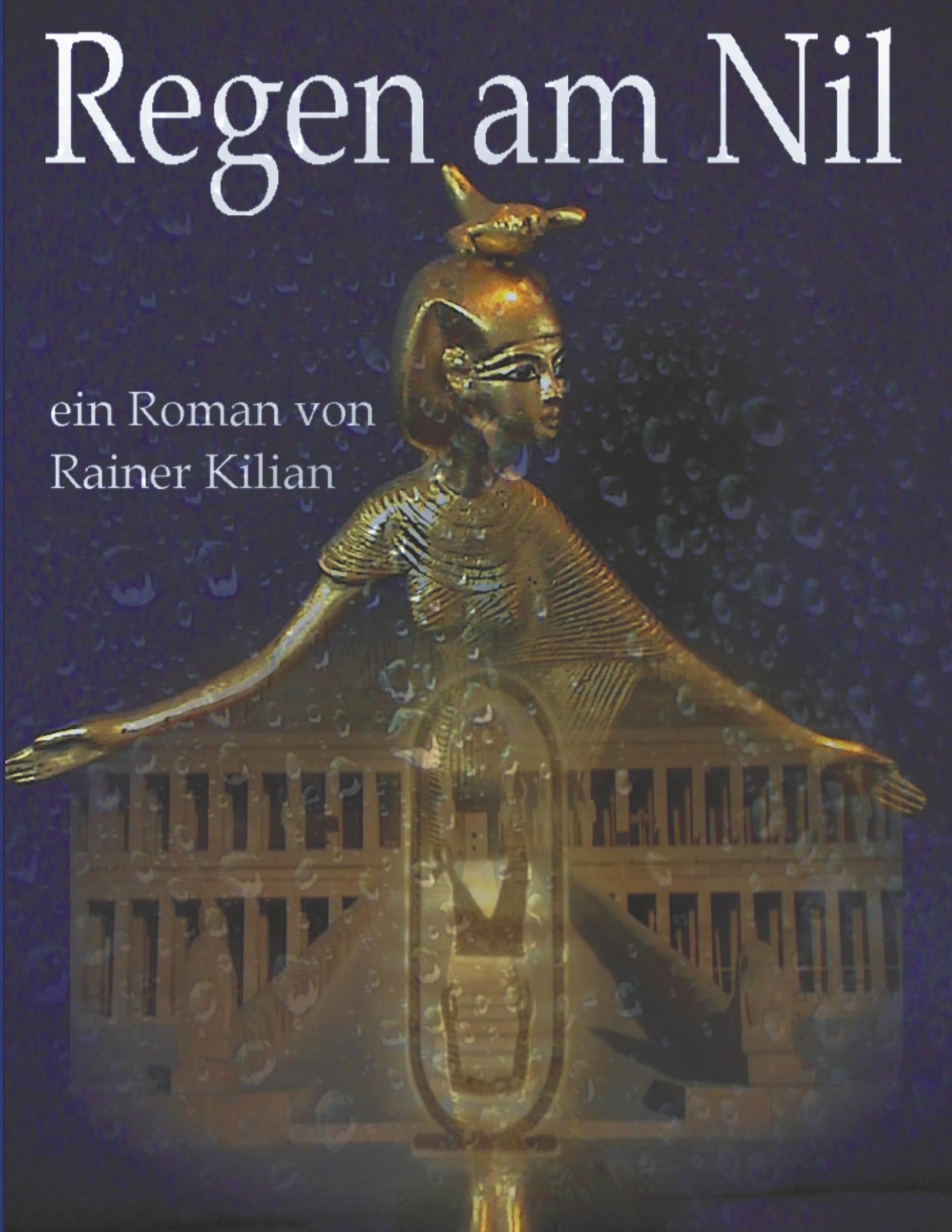 Regen am Nil Contemporary literature Books