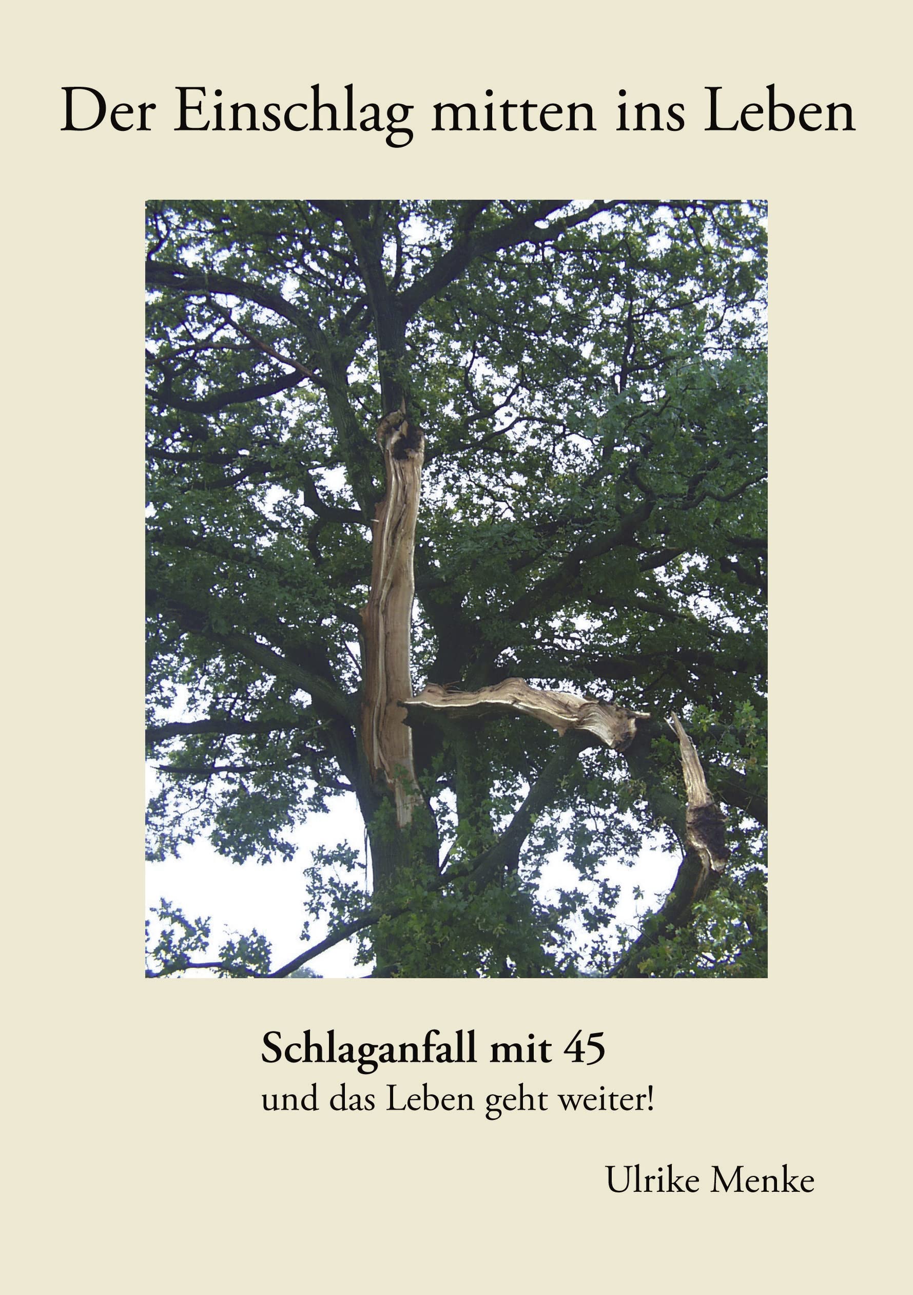 Der Einschlag mitten ins Leben: Schlaganfall mit 45 und das Leben geht weiter! Contemporary literature