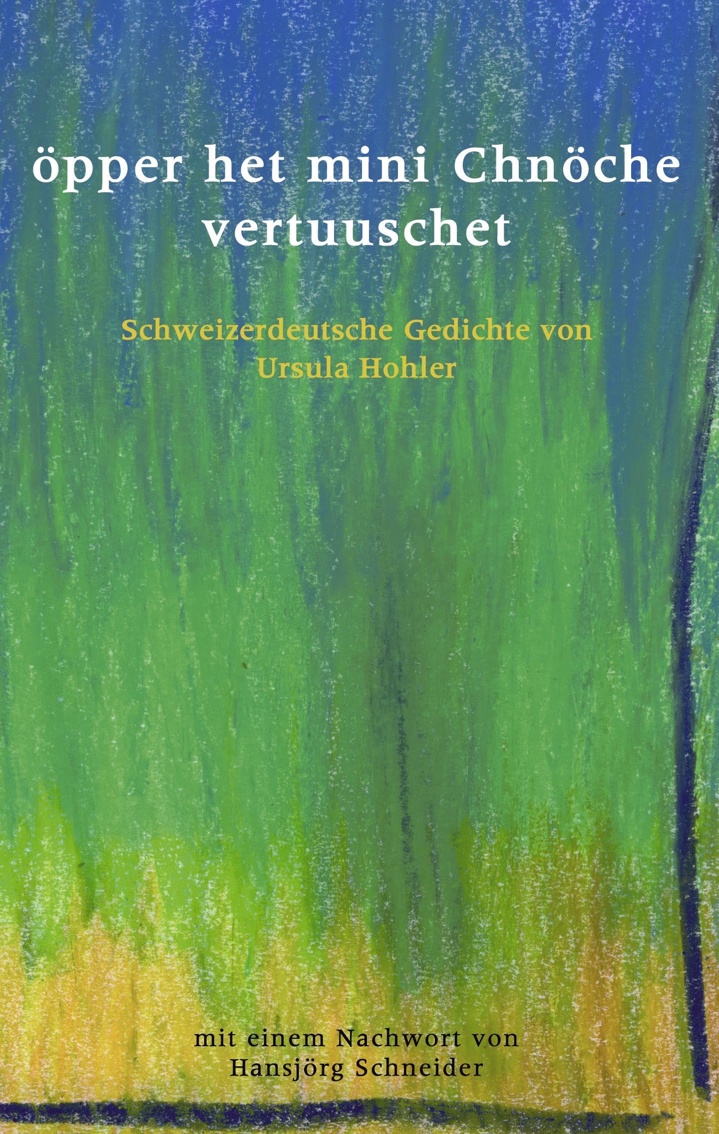 öpper het mini Chnöche vertuuschet: Schweizerdeutsche Gedichte Poetry