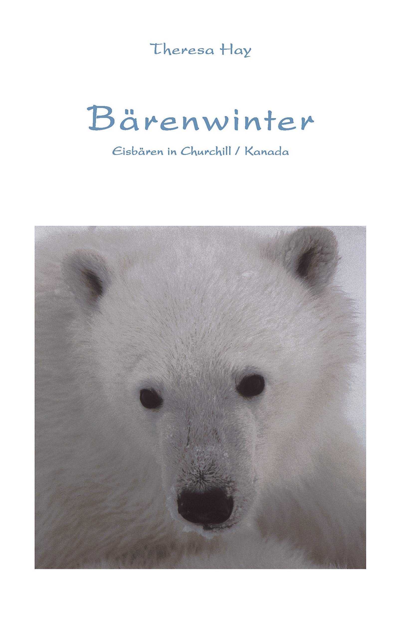 Bärenwinter Contemporary literature Books