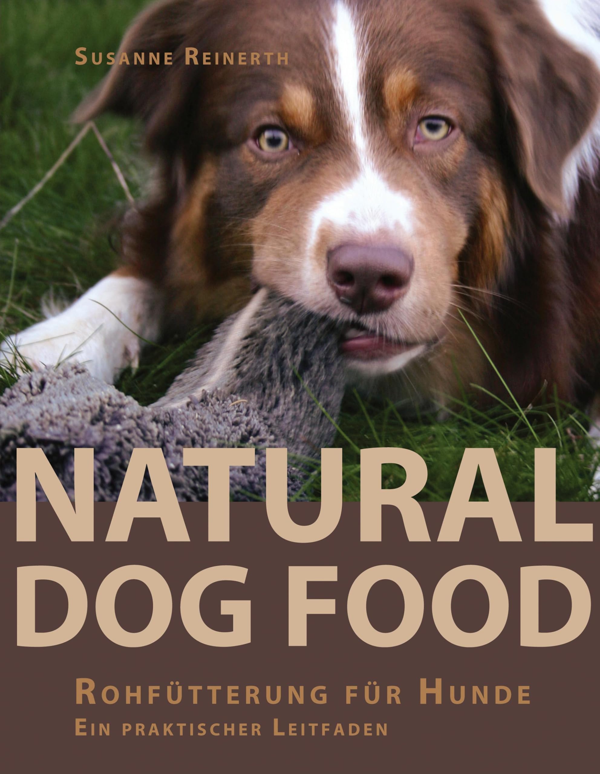 Natural Dog Food Pets