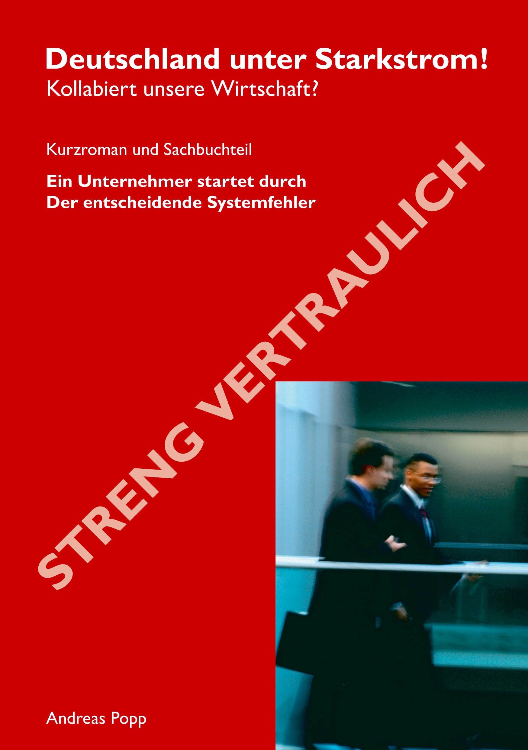 Deutschland unter Starkstrom Contemporary literature Books