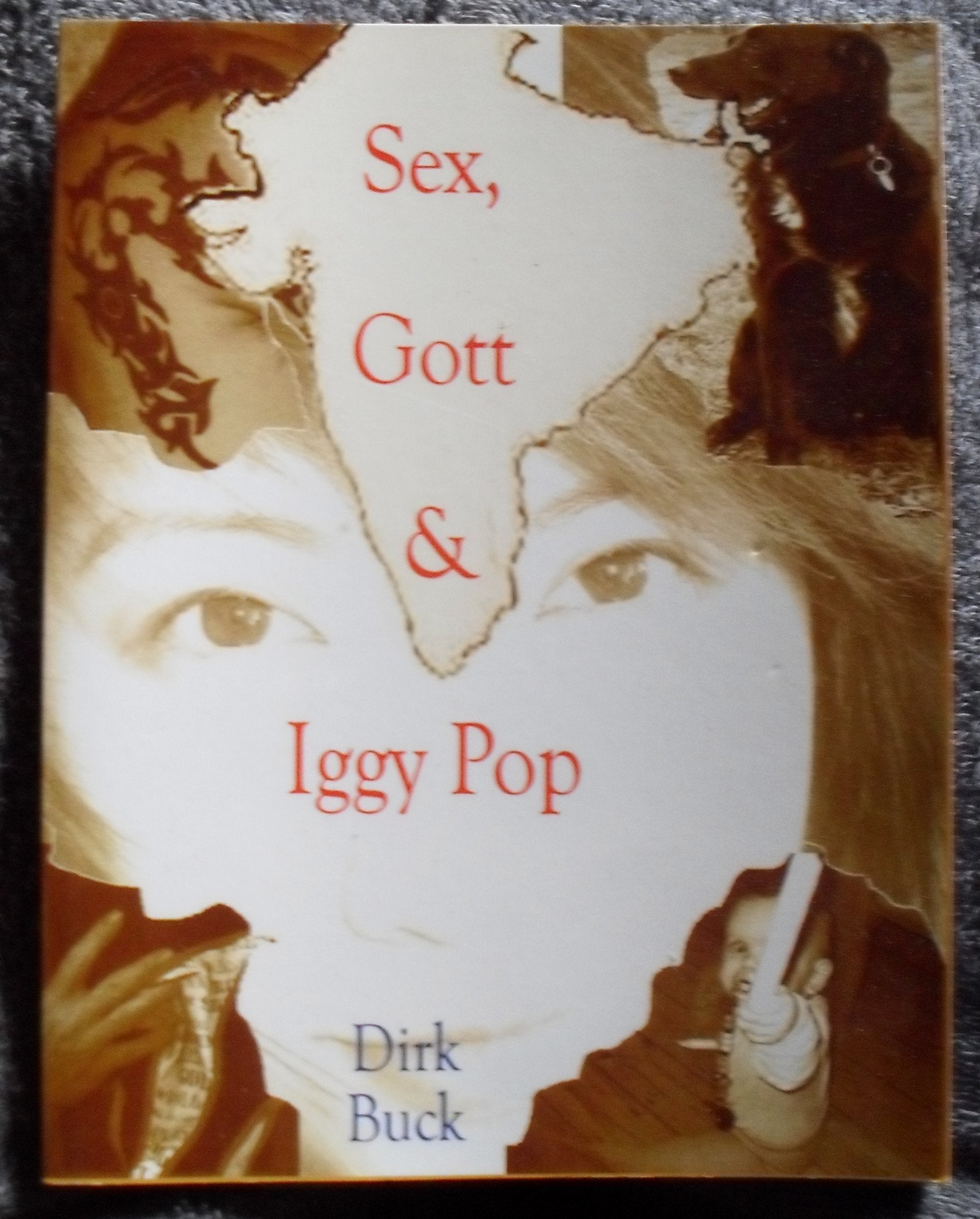 Sex, Gott & Iggy Pop Contemporary literature