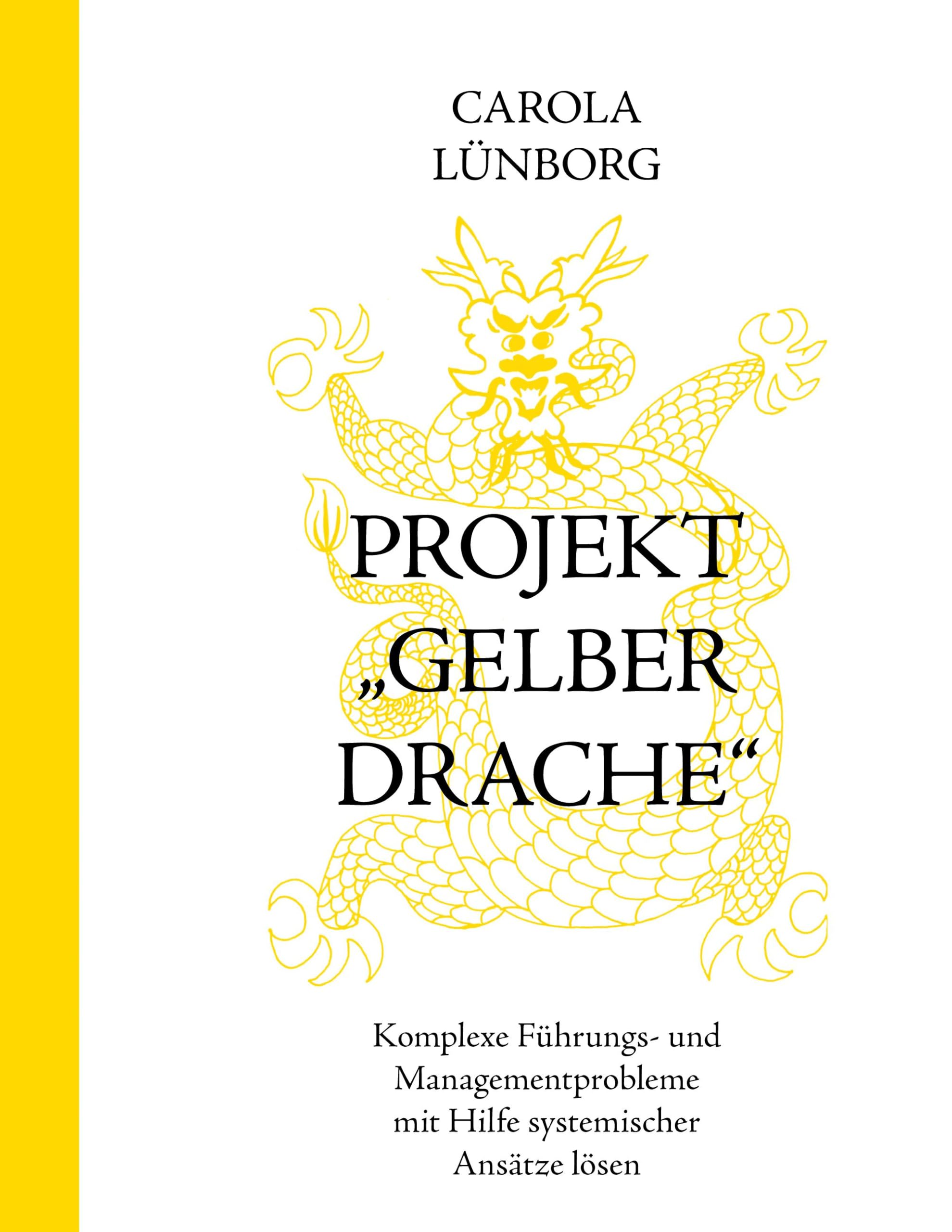 Projekt "Gelber Drache" - Komplexe Führungs- und Managementprobleme mit Hilfe systemischer Ansätze lösen Law