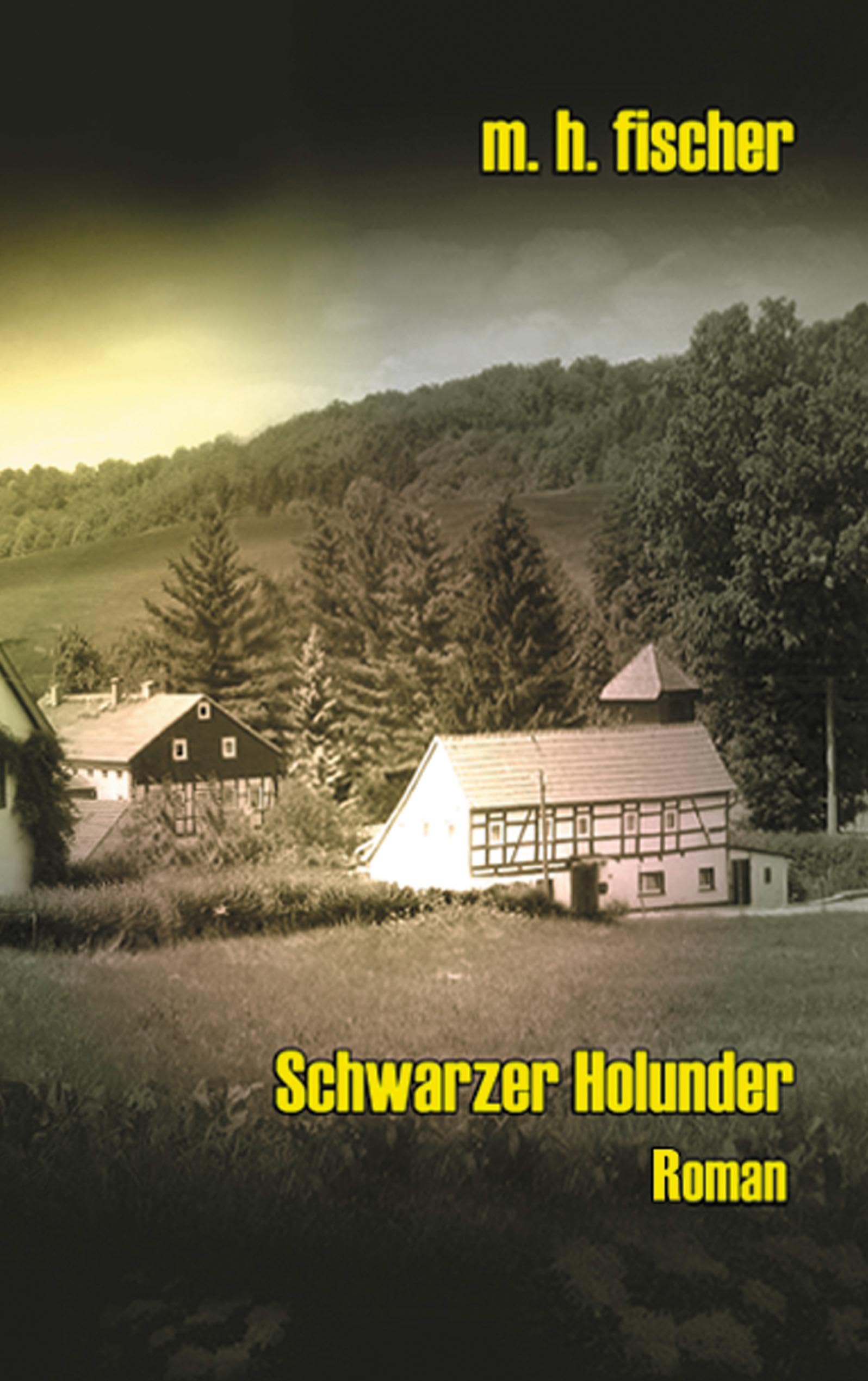 Schwarzer Holunder Contemporary literature