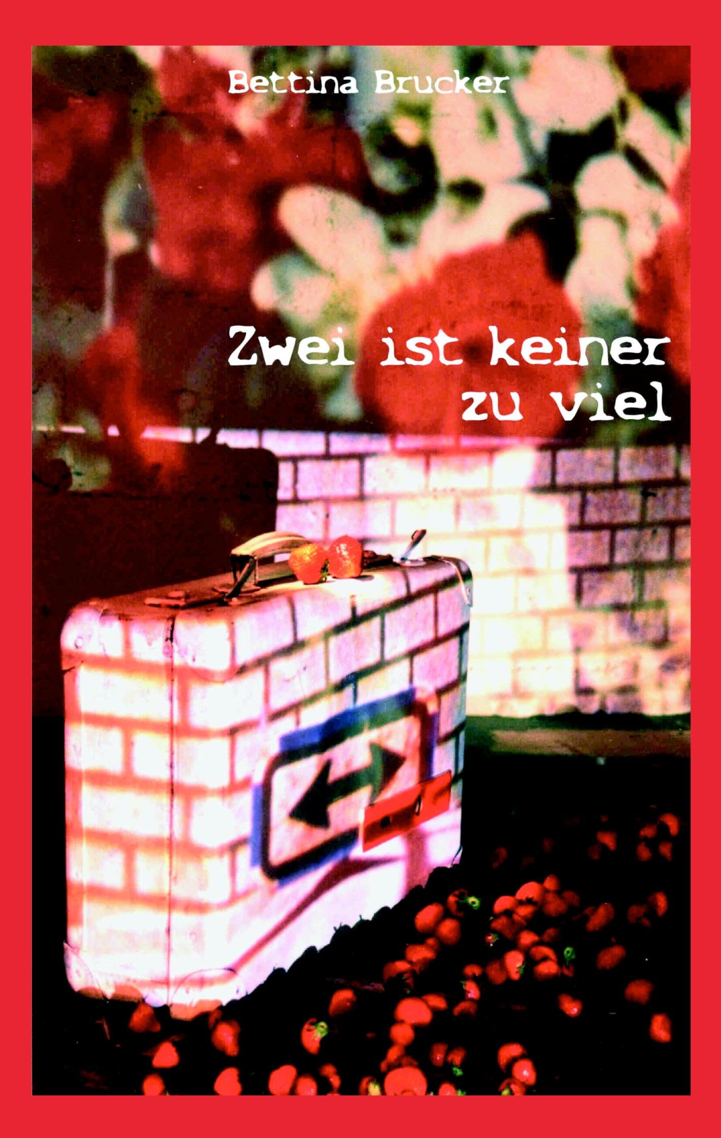 Zwei ist keiner zu viel Contemporary literature