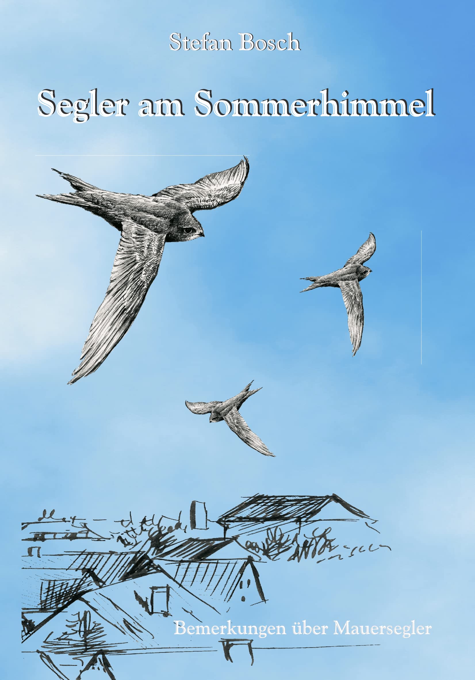 Segler am Sommerhimmel Business & Technology Books