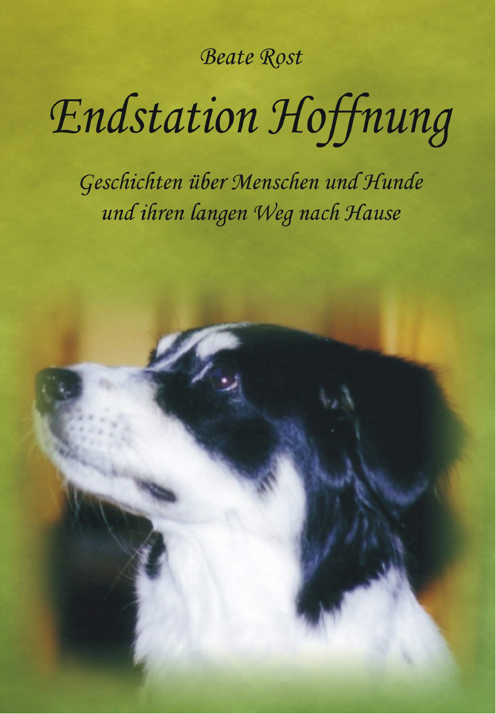 Endstation Hoffnung: Geschichten über Menschen und Hunde und ihren langen Weg nach Hause Contemporary literature