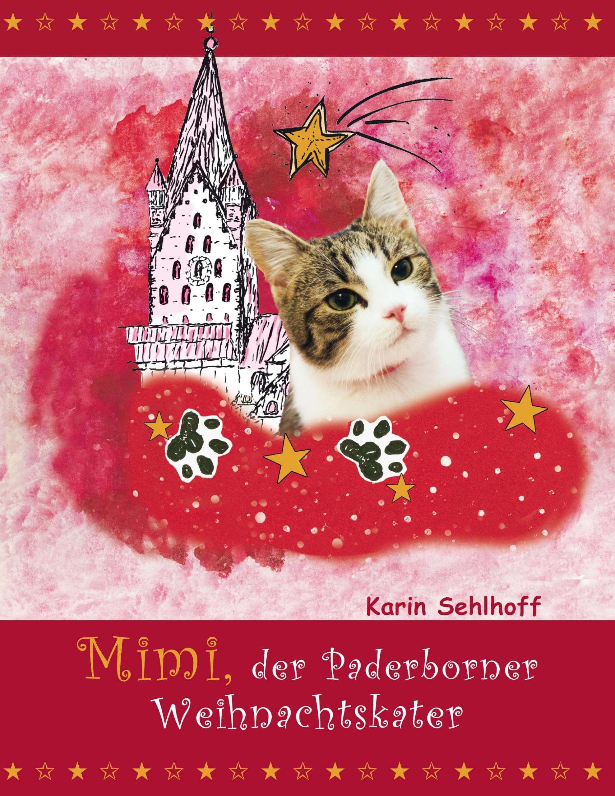 Mimi, der Paderborner Weihnachtskater Contemporary literature