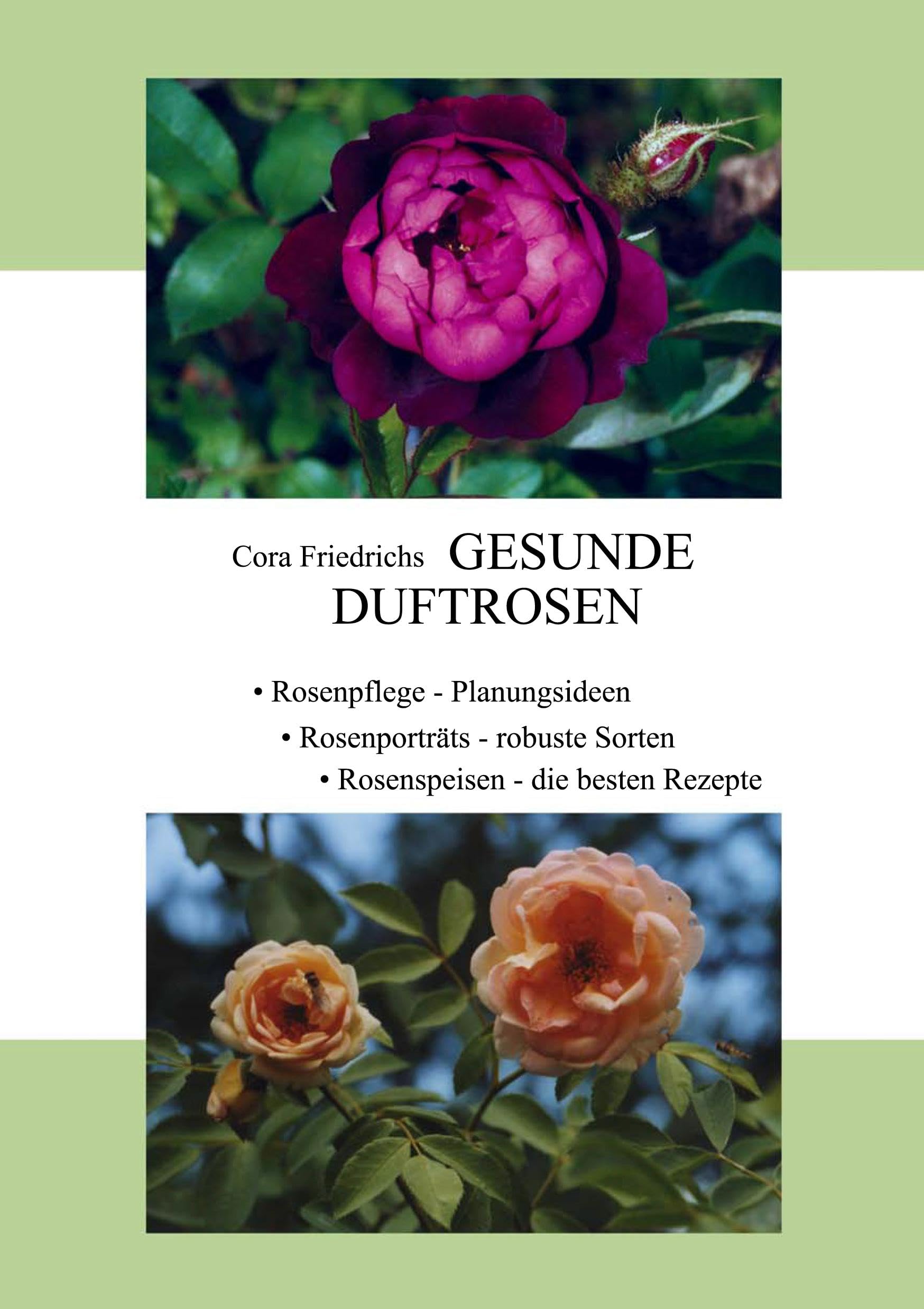 Product Image: Gesunde Duftrosen