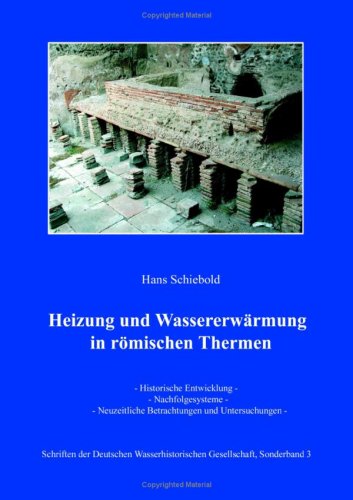 Heizung und Wassererwärmung in römischen Thermen: Historische Entwicklung - Nachfolgesysteme - Neuzeitliche Betrachtungen und Untersuchungen Business & Technology